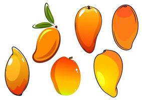 orange färsk tropisk mango frukt vektor