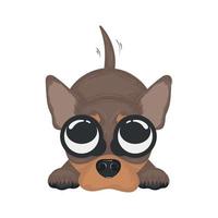 isolierte niedliche chihuahua-hundezeichentrickfigur-vektorillustration vektor