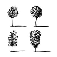 verschiedene bäume skizzensatz. Vektorskizze aus Buche, Birke und Kiefer vektor
