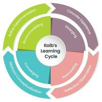 kolbs lernzyklus infografische vektorillustration vektor