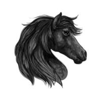 svart häst huvud profil porträtt vektor