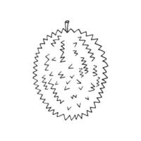 Durian-Frucht handgezeichnet im Doodle-Stil. Symbol, Aufkleber, Menü vektor