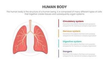 lungor mänsklig anatomi infographic begrepp för glida presentation med 4 punkt lista data information vektor