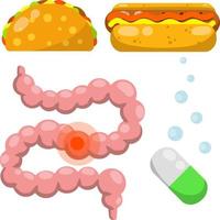 Darm. menschliches Verdauungssystem. kranker roter Fleck. medizinische Pille gegen Verdauungsstörungen. Junk-Fast-Food, Hot Dog, Tacos. flache illustration der karikatur. satz von objekten des krankenhauses. vektor