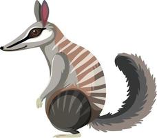 Seitenansicht von Numbat vektor