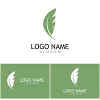 Feder-Ilustration-Logo-Vektor-Template-Design vektor