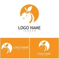 Orange Logo Design Vektor Icon Illustration Design