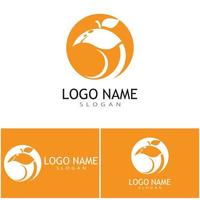 Orange Logo Design Vektor Icon Illustration Design