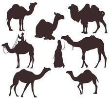 Satz von sieben Silhouetten von Kamelen vektor