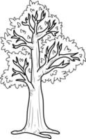 Baum-Malseite, Schwarz-Weiß-Illustration vektor