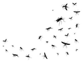 isolierte fliegende Mücken. Silhouetten von Insekten vektor