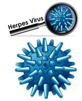 herpesvirus på nära håll vektor