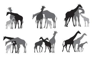 uppsättning av svart silhuetter av giraffer familj vektor