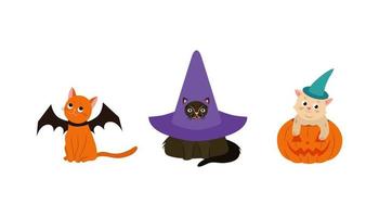 halloween katter. svart katt i häxa hatt vektor illustration. Lycklig halloween kostym illustration samling