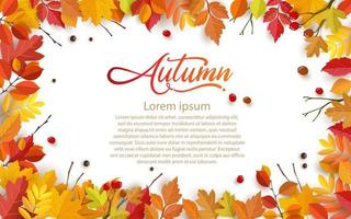 Herbsthintergrunddesign mit Blättern. Hintergrund-, Banner- oder Vorlagendesign vektor