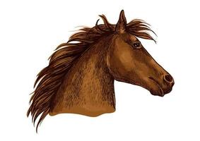 konstnärlig brun häst huvud skiss porträtt vektor