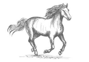 Pferderennsport-Pferdesymbol vektor