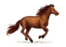 häst races tecken. sport symbol av hingst tävlings vektor