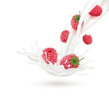 Rotbeermilchjoghurt spritzt isoliert auf weißem Hintergrund. Sport treiben und sich gesund ernähren. Gesundheitskonzept. realistische 3D-Vektorillustration. vektor