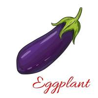 skizzierte Aubergine oder Auberginengemüse vektor