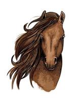 Künstlerisches Porträt des braunen Mustang-Pferdes vektor