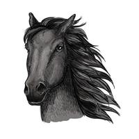 svart stolt löpning häst porträtt vektor