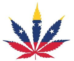 cannabis blad flagga. de begrepp av legalisering av marijuana, cannabis i venezuela vektor