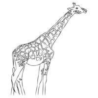 dess en skön giraff bild. vektor