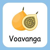 Voavanga-Clipart mit Text, flaches Design. Bildung für Kinder. Vektor-Illustration vektor