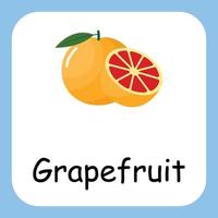 Grapefruit-ClipArt mit Text, flaches Design. Bildung für Kinder. Vektor-Illustration vektor