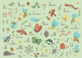 skog alfabet för barn. söt platt ABC med skog insekter på grön bakgrund. horisontell layout rolig affisch för undervisning läsning på vit bakgrund. vektor