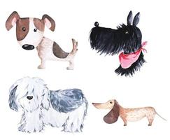 hund in aquarell gemalt. brauner flauschiger welpe. hand zeichnen niedlichen lustigen hund. tier aquarell sketch.pet illustration. vektor