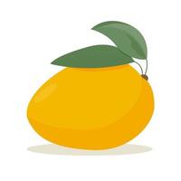 mango sommar frukt isolerat på vit bakgrund för design vektor