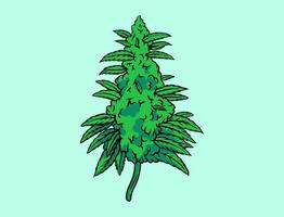 medizinische Cannabisblattpflanze vektor