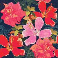 sömlösa mönster färgglada hibiskus blommor-01.eps vektor