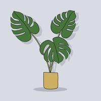 enkelhet monstera växt frihandsteckning platt design. vektor