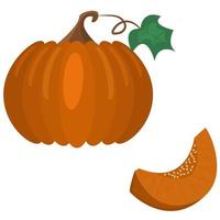 stor pumpa och en bit av Det. skivad orange kalebass med frön. vegetabiliska vektor illustration. höst skörda design för halloween och tacksägelse banderoller