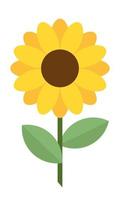 Sonnenblumen-Symbol flachen Stil. gelbe Blumencliparts. Sommersymbolblume. Illustration, Grafik, Logo vektor