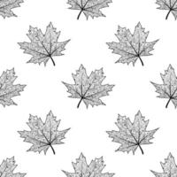 nahtloses Muster mit Ahornblättern. Vektor isolierter Hintergrund mit den Konturen der gefallenen Blätter. textur für textilien oder verpackungspapier. Herbstmuster.