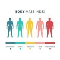 kropp massa index färgrik vektor platt illustration isolerat på vit bakgrund