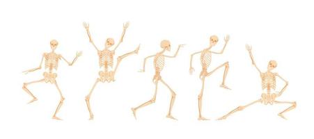 dans och löpning skelett. död- människor är Hoppar glatt och stående på deras händer kuslig abstrakt ringa tillverkad av vektor ben siffror.