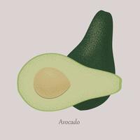 Vektorfrucht Avocado ganz und halbiert. vektor