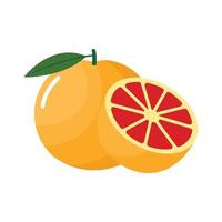 Designclipart-Vektorillustration der Grapefruit flache lokalisiert auf einem weißen Hintergrund vektor