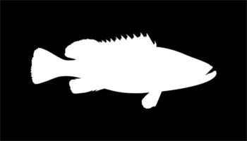 Zackenbarsche Fischsilhouette auf schwarzem Hintergrund für Symbol, Symbol, Piktogramm, Logo oder Grafikdesignelement. Vektor-Illustration vektor