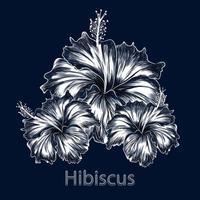 hibiskus blomma mörk blå bakgrund Färg vektor illustration.