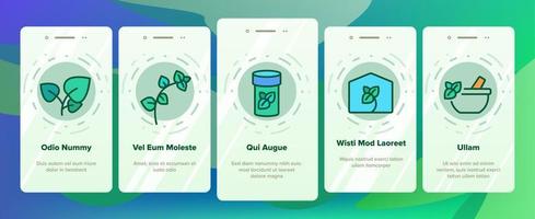 oregano örtväxt onboarding ikoner som vektor