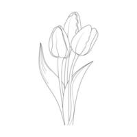 blomma linjekonst, blommig illustration vektor