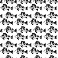 Nahtloses Vektormuster von Kampffischen auf weißem Hintergrund. ein handgezeichnetes Gekritzel. Flussfische und Angeln. für Albumgestaltung, Papier, Stoffdruck, für Jungen. vektor