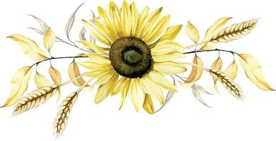 akvarellteckning. höstens sammansättning av blommor av en solros och höstlöv, öron av vete. isolerad på vit bakgrund bukett, på temat skörd, höst, tacksägelsedag. vektor