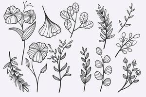 blomma lämnar doodle handritad vektor illustration set